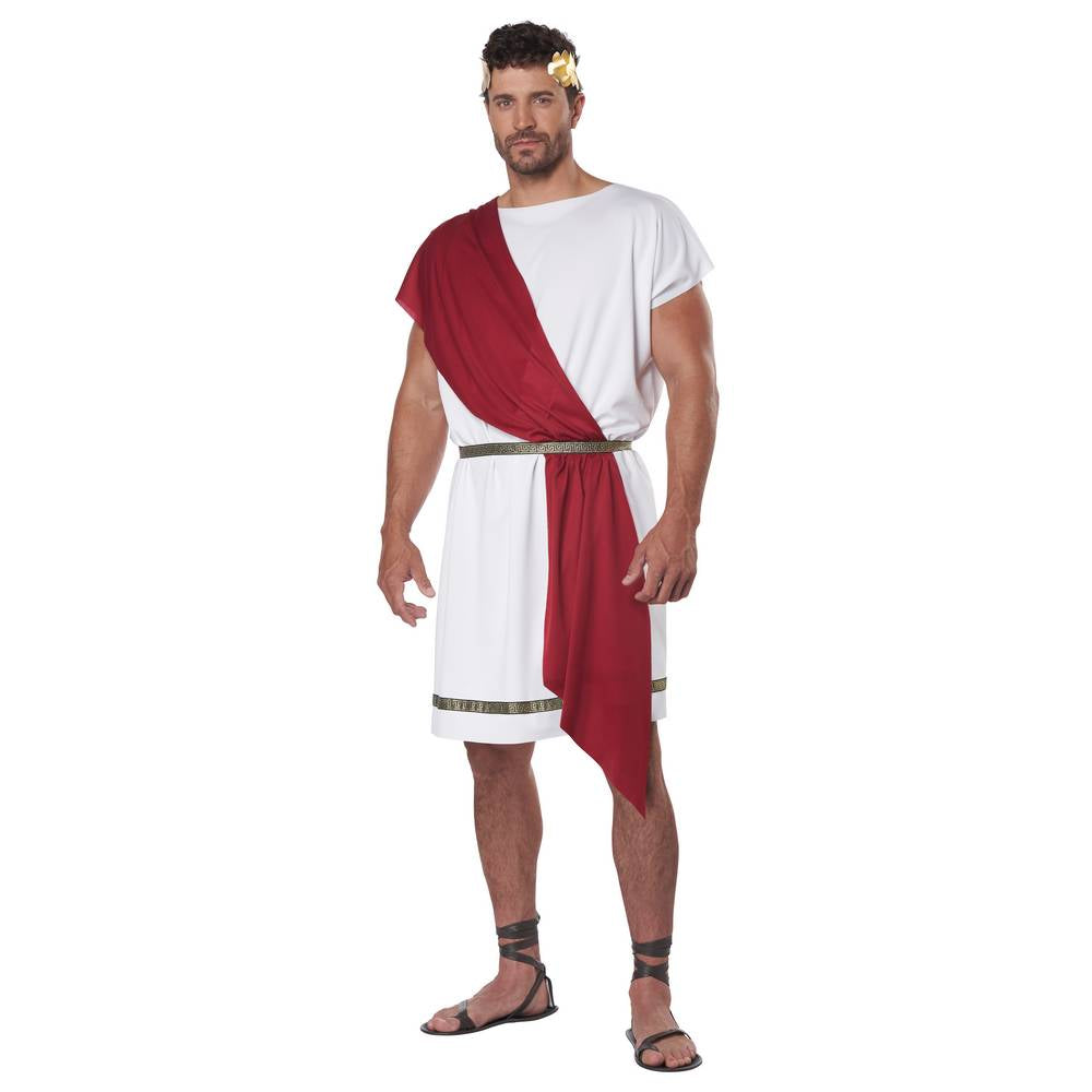 Party toga costume - adult
Party toga PLUS Size costume - adult