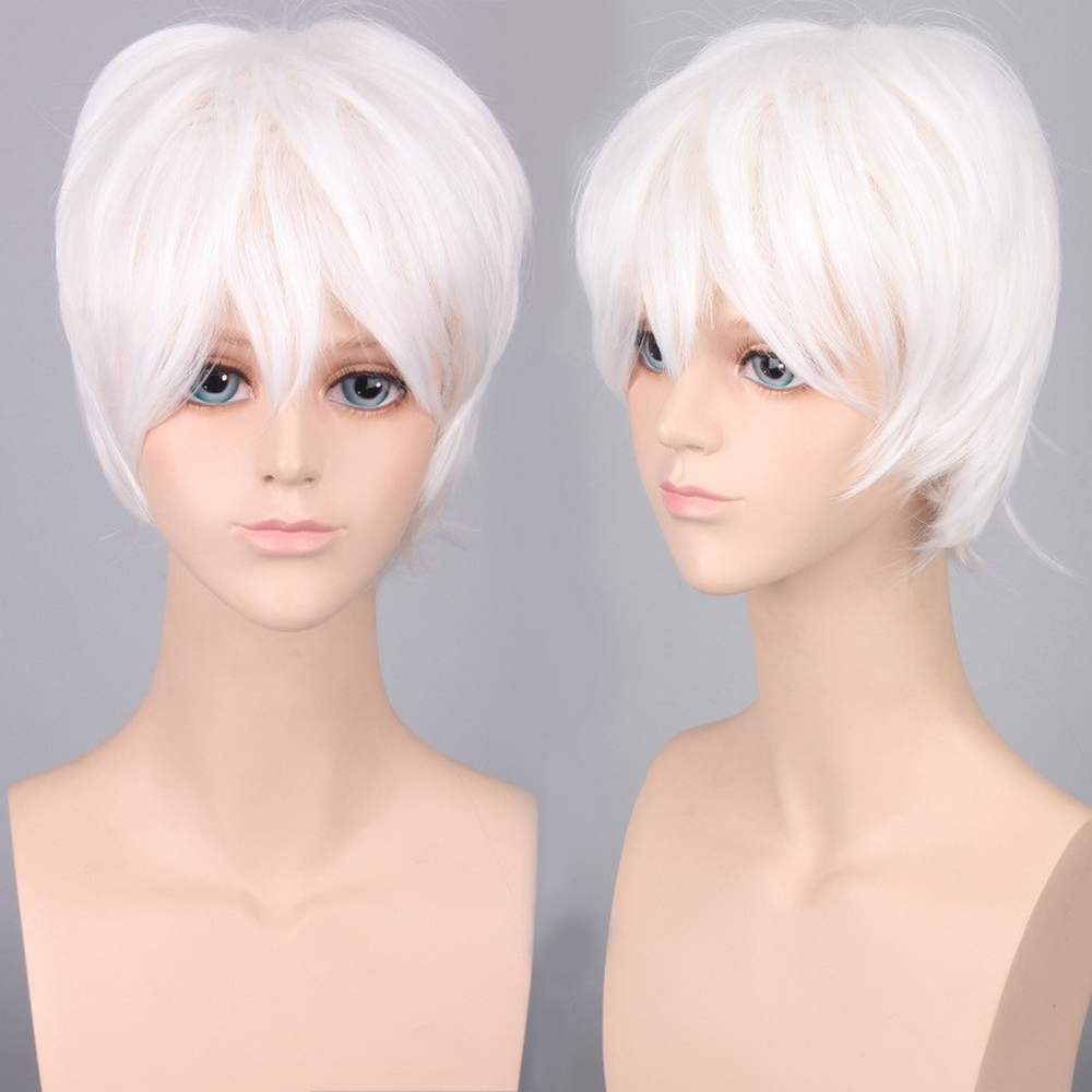 Short Anime Cosplay Wig