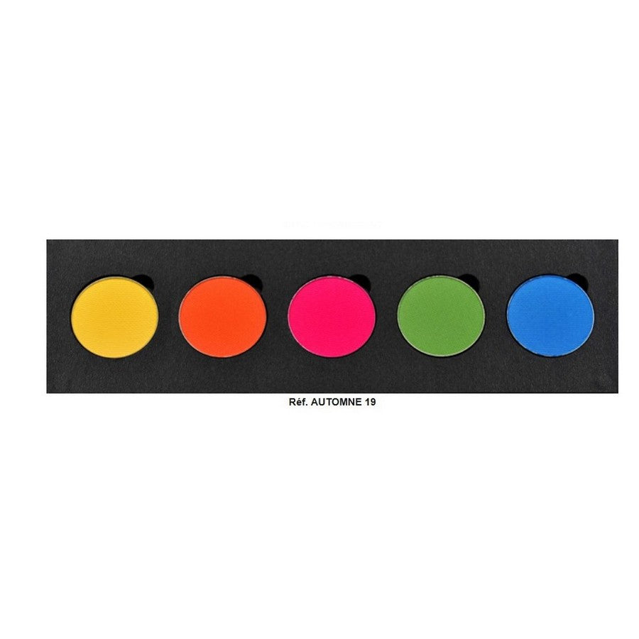 Maqpro Palette Eyeshadows FARDS SEC AUTOMNE 19