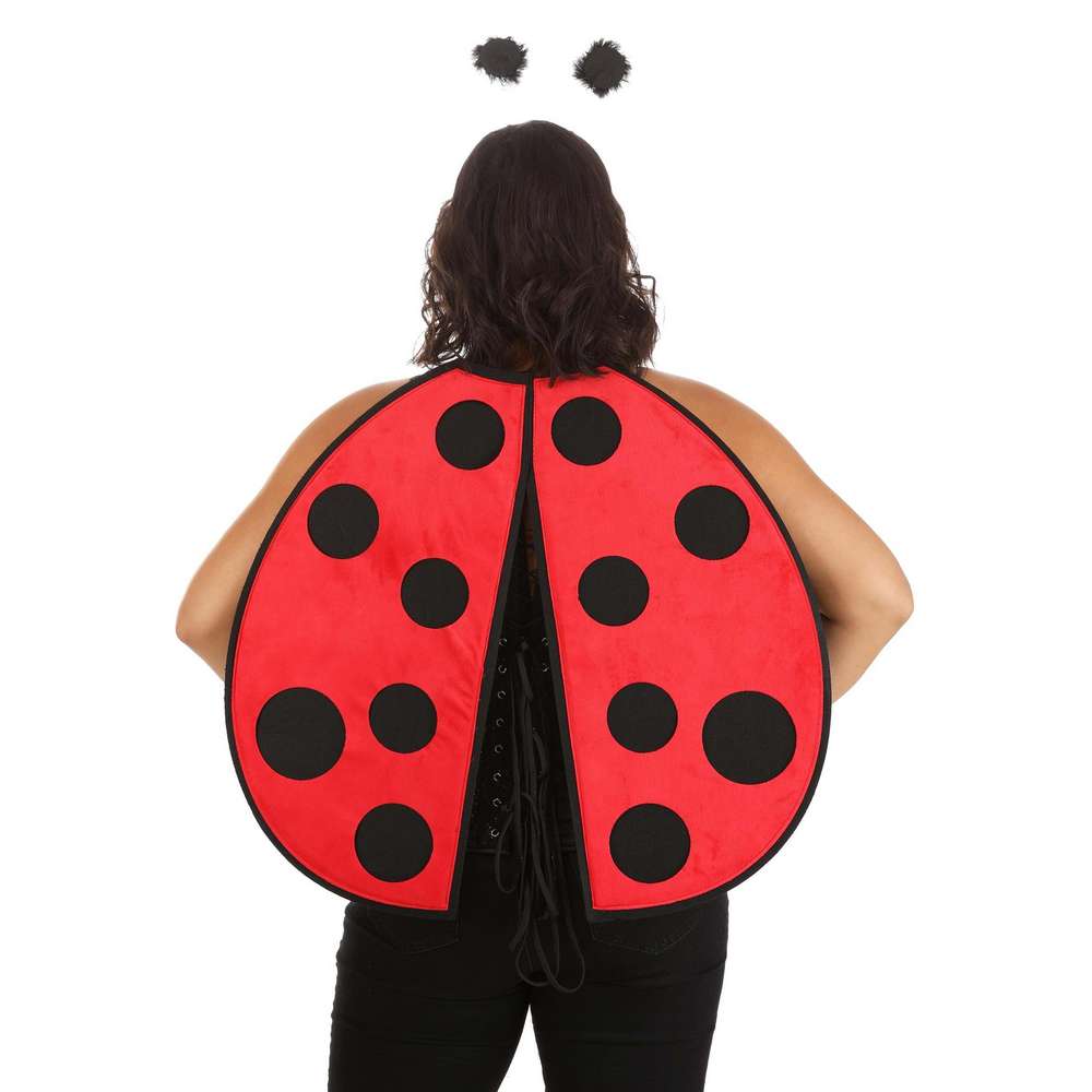 Ladybug Costume 3pcs Kit with wings