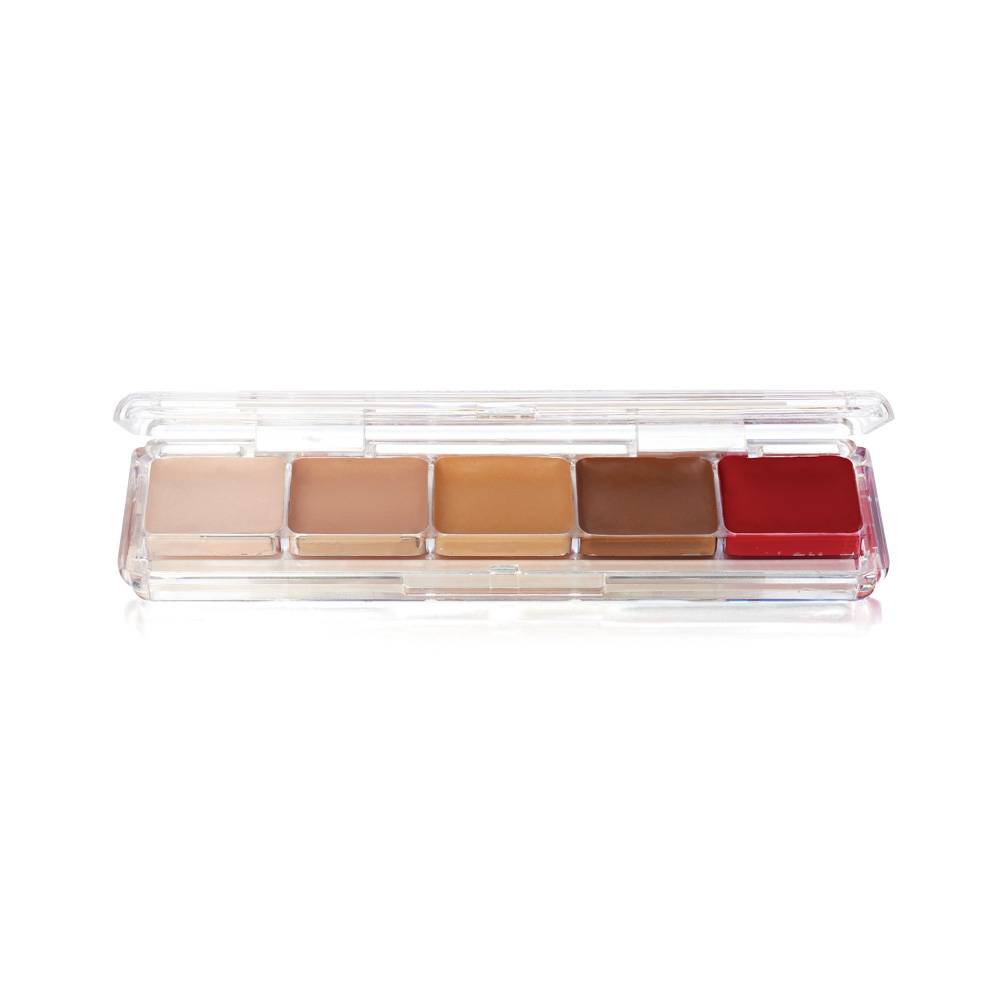 BEN NYE Alcohol Palette 5 Colors AAP21_TattooCover-Alcohol-Palette