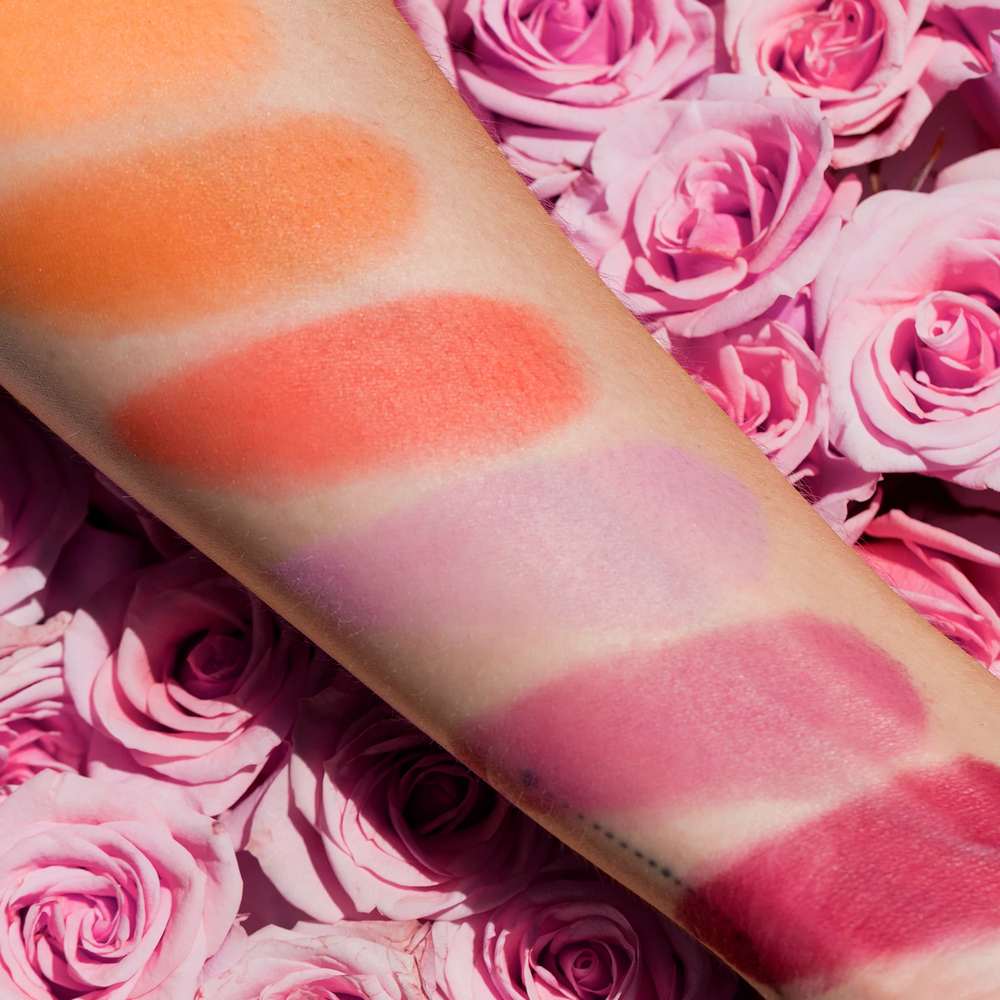 Viseart BLUSH Palette 6 colors RoseCoral_Web_Swatches_8.25.20_1024x1024@2x