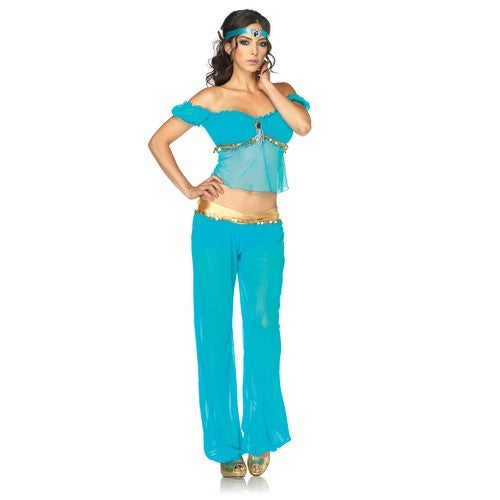 Arabian Beauty costume 83857