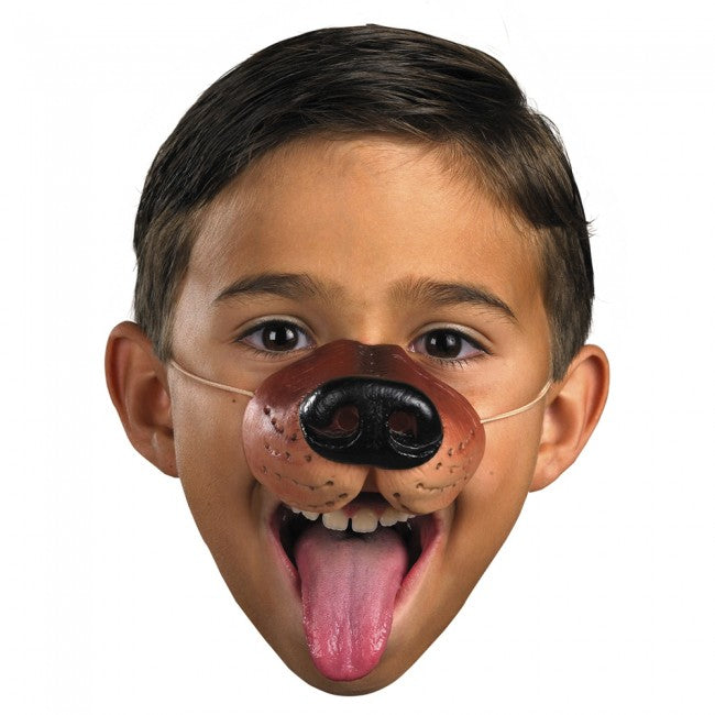 Dog snout Nose