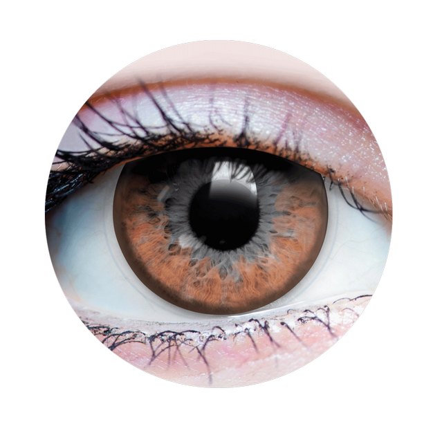 Twilight Hazel Contact Lenses - Brown