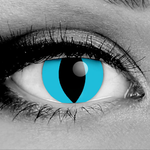 Cheshire Cat contact lenses - blue/black