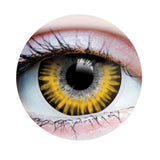 Temptress chestnut Contact Lenses - brown