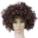 Perruque Rétro Afro Bouclée