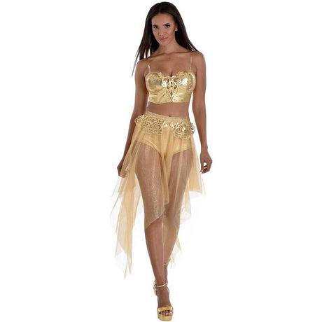 Gilded Glam Corset full