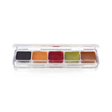 BEN NYE Alcohol FX Palette 5 Colors Tooth palette