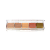 Ben Nye Concealer Adjuster alcohol FX Palette