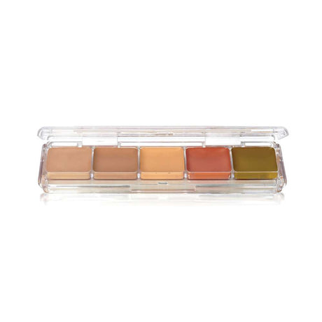 Ben Nye Concealer Adjuster alcohol FX Palette