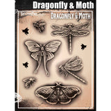 Tattoo Pro Dragonfly & Moth Stencil - 183