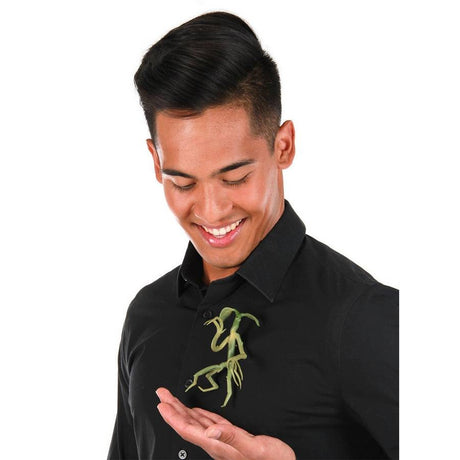 Beasts Pickett Bowtruckle Pin