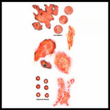 Burned Alive Trauma FX Temp Tattoos