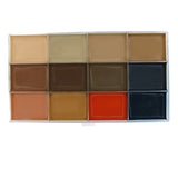 Dark Flesh alcohol activated Palette