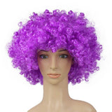 Disco C Afro curly Wig