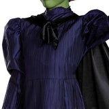 Elphaba Deluxe child costume - Wicked Witch_zoom
