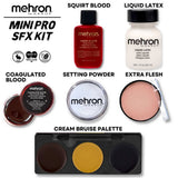 MEHRON Special FX Mini-Pro Makeup Kit