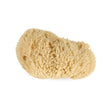 Graftobian Natural Sea Sponge