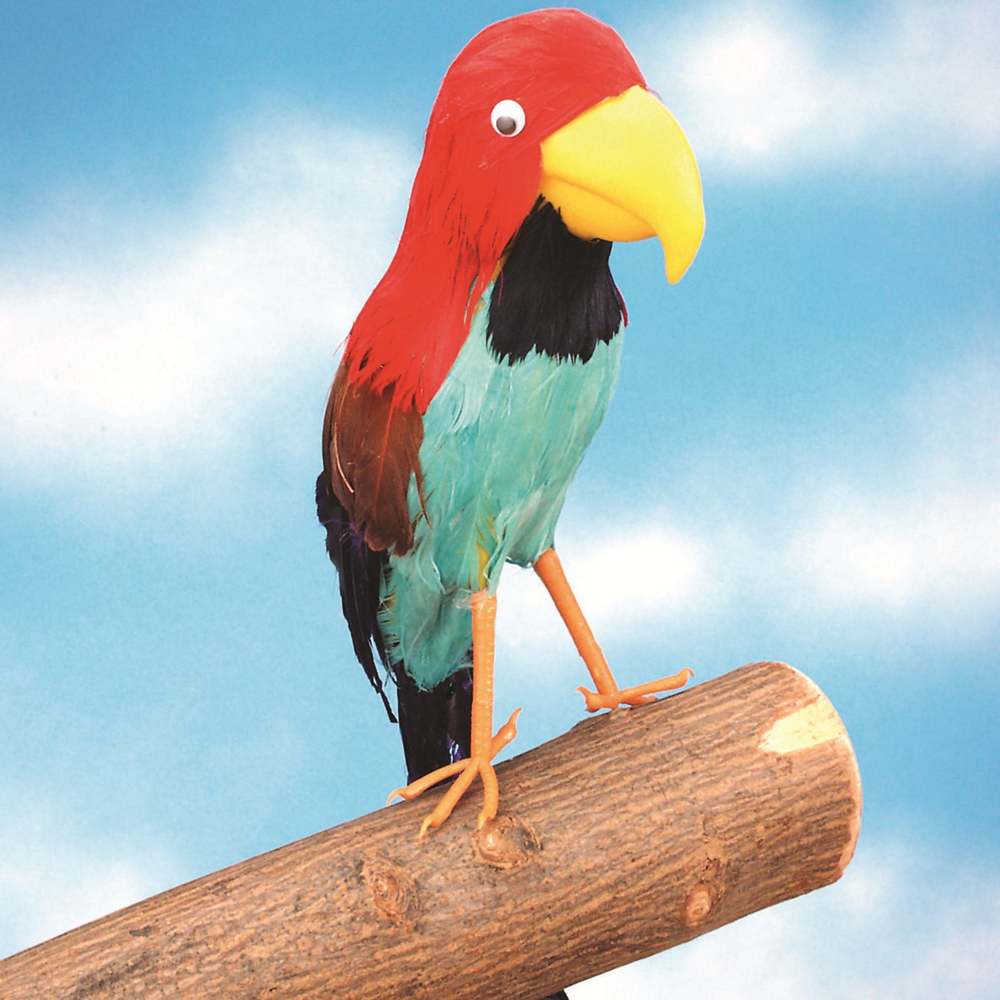 Pirate Parrot Prop