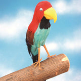 Pirate Parrot Prop