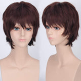 Short Anime Cosplay Wig