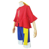 Straw Pirate Hero Adult Costume