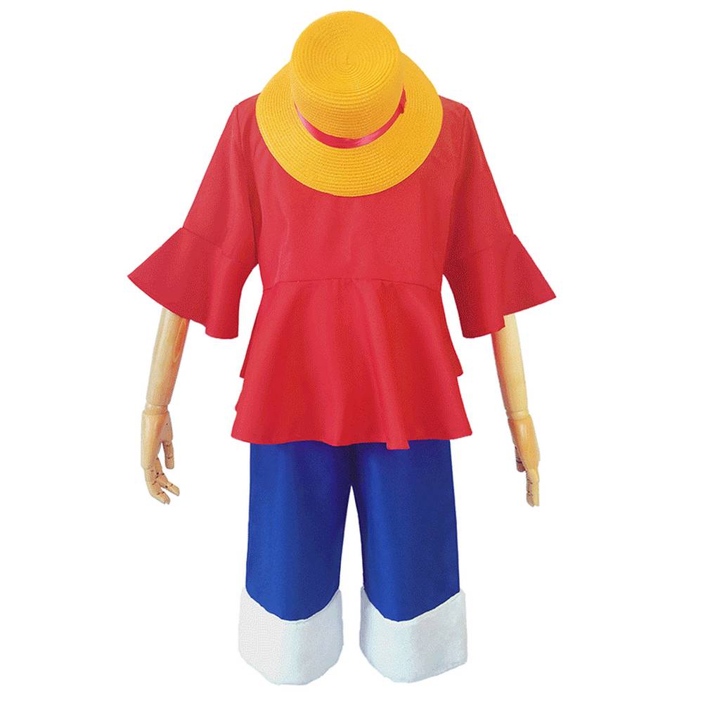 Straw Pirate Hero Adult Costume
