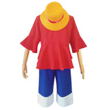 Straw Pirate Hero Adult Costume