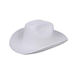 White Cowboy Hat