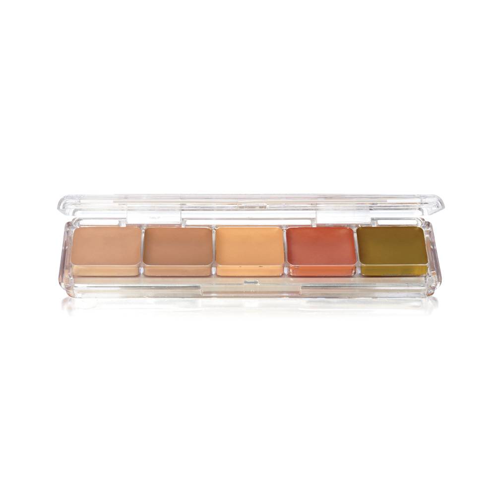 BEN NYE Alcohol Palette 5 Colors AAP23-Concealer-Alcohol-Palette