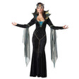 Evil Sorceress Queen Costume