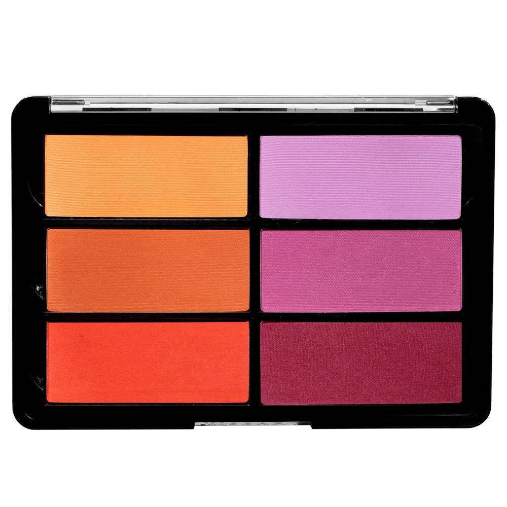 Viseart BLUSH Palette 6 colors OrangeViolet_Web_8.8.21_afdf4293-3afb-4c50-9f99-c0efdba0dcf6_1024x1024@2x