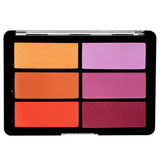 Viseart BLUSH Palette 6 colors OrangeViolet_Web_8.8.21_afdf4293-3afb-4c50-9f99-c0efdba0dcf6_1024x1024@2x