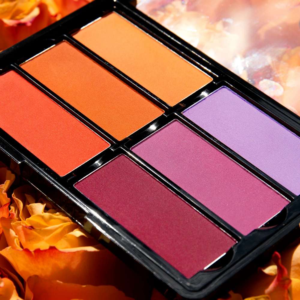 Viseart BLUSH Palette 6 colors OrangeViolet_2_8.3.21_1024x1024@2x