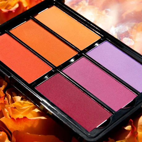 Viseart BLUSH Palette 6 colors OrangeViolet_2_8.3.21_1024x1024@2x