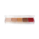BEN NYE Alcohol Palette 5 Colors AAP21_TattooCover-Alcohol-Palette
