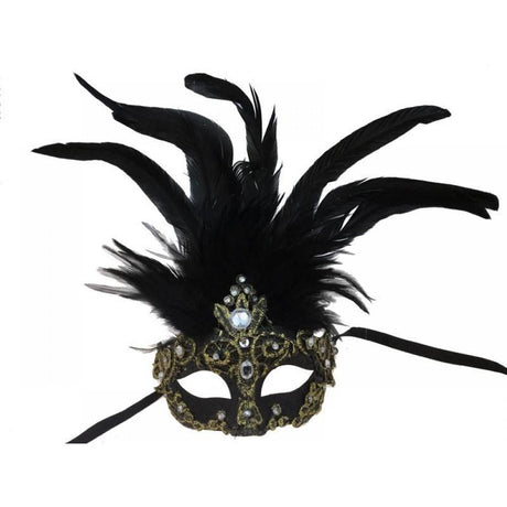 Venetian mask lace with rhinestones and feathers