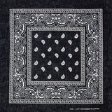 Cotton Bandana Paisley Print 9800-2-1_1_1