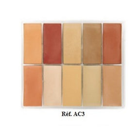 Maqpro Lipstick Palette 10 colors 1022 PP AC3