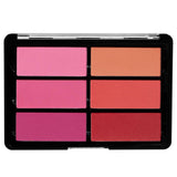Viseart BLUSH Palette 6 colors RoseCoral_Web_6.4.20_1024x1024@2x