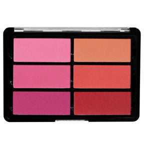 Viseart BLUSH Palette 6 colors RoseCoral_Web_6.4.20_1024x1024@2x