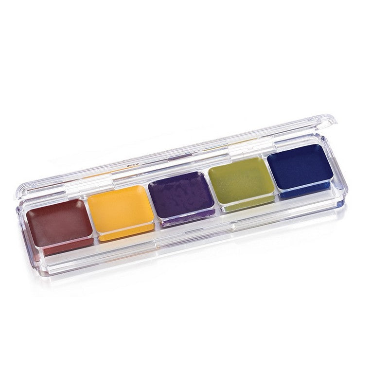 BEN NYE Alcohol FX Palette 5 Colors AAP-bruise
