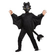 How to Train Dragon - Toothless child costume 87880