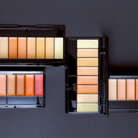 Paris Berlin Correction and Concealor Palette