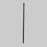 parade cane - black