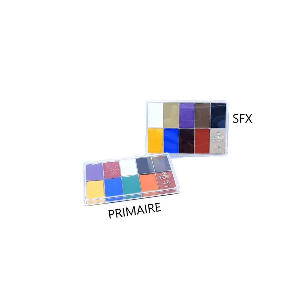 Maqpro Mini palette 10 colors 15ml Mini slim palette SFX maqpro