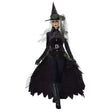 Gothic Witch Adult costume