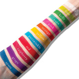 Viseart Petites Mattes Pigment Palette PetitesMattes_Swatches_EditorialBrights_Light_2.11.223